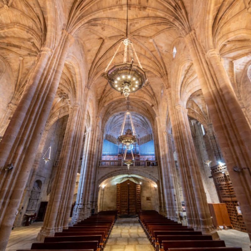 20220801_ConcatedralCáceres_-11